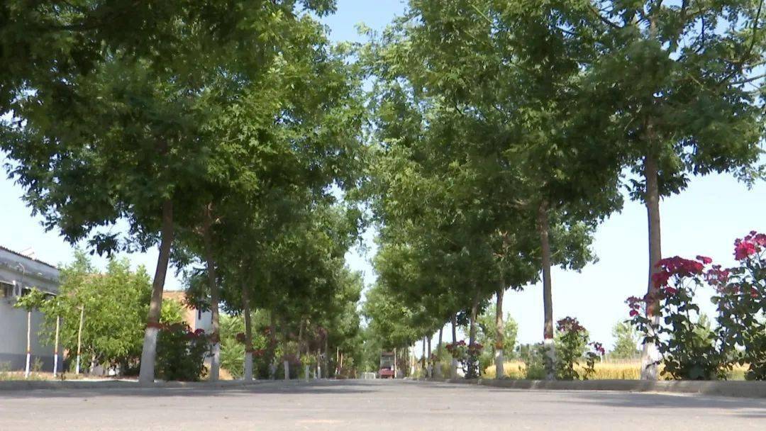 获嘉县照镜镇东彰仪村:美丽乡村建设初具雏形