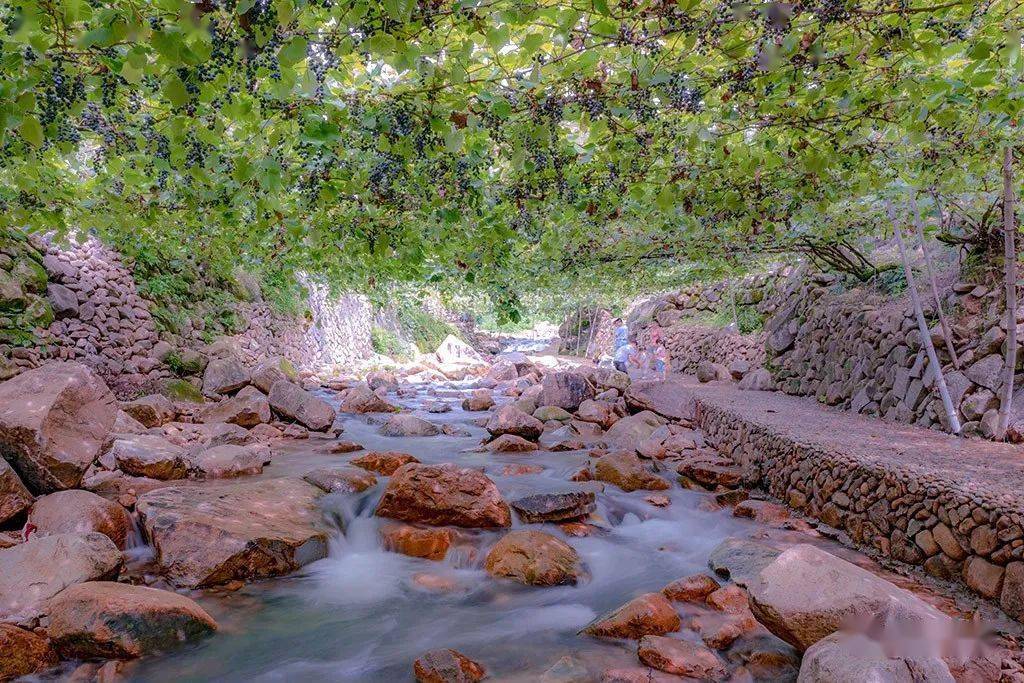 汪曾祺大戈壁火焰山葡萄沟