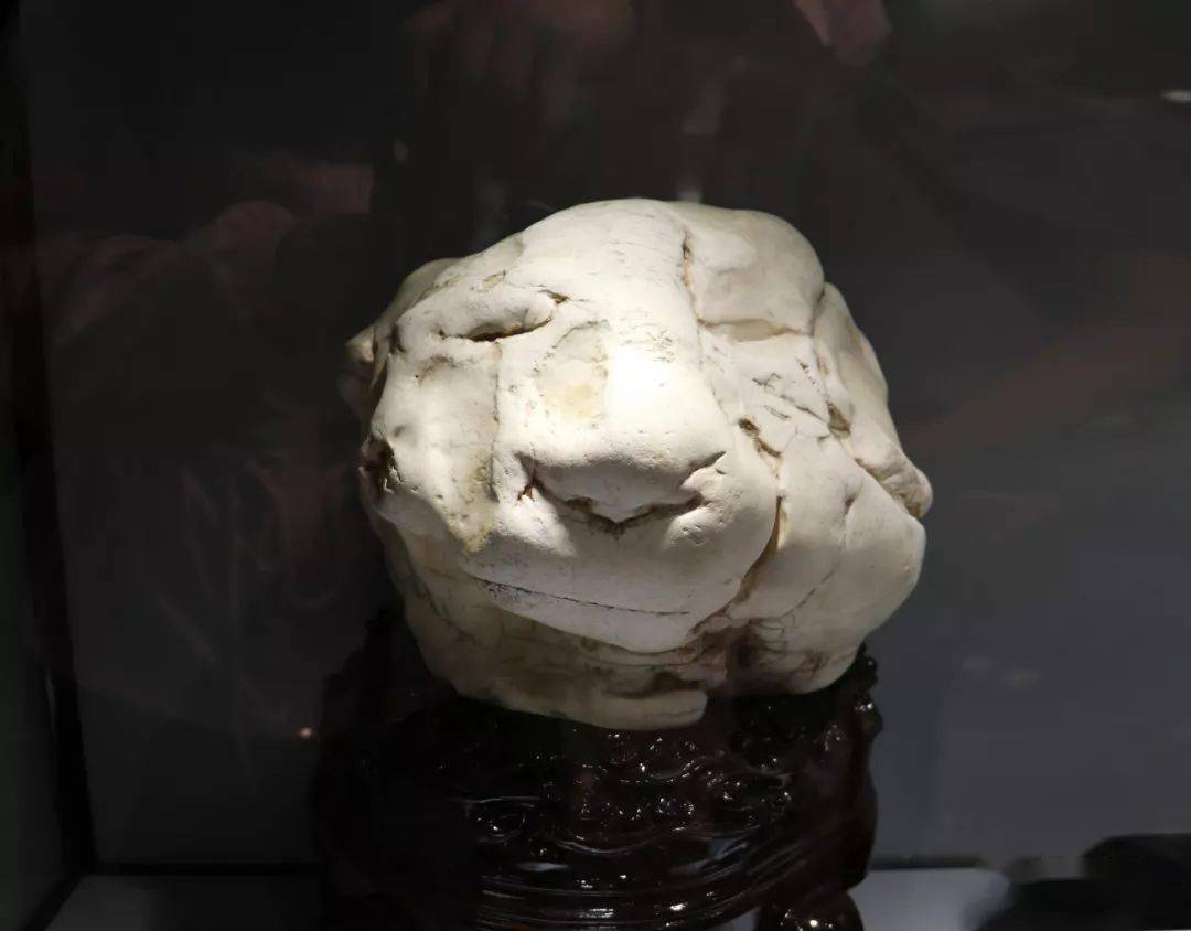 银川邀您共赏美石!