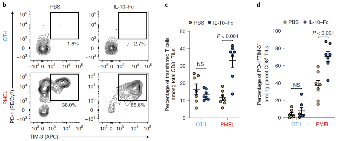il-10–fc 显著增加了 pmel 的 pd-1 tim-3 双阳性细胞和 pmel 总