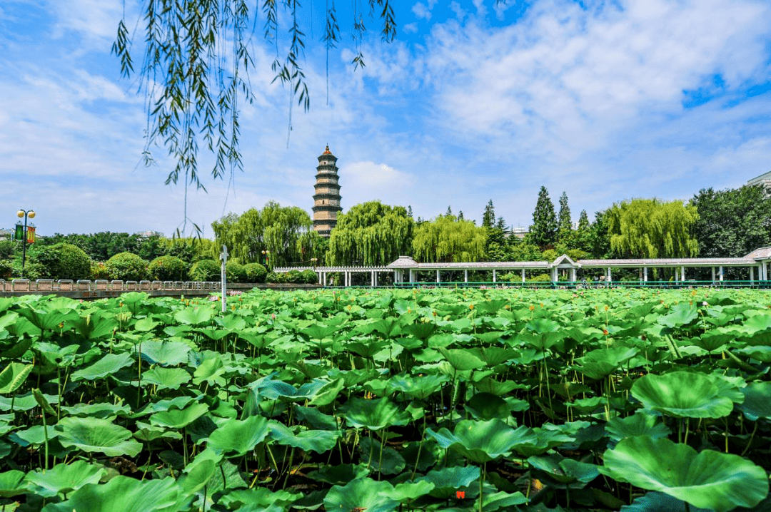 滕州新八景 