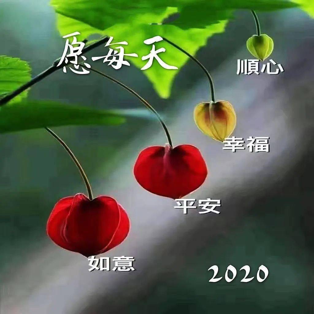 4796b769690c4f3aa915d6078de1f7c7.jpeg
