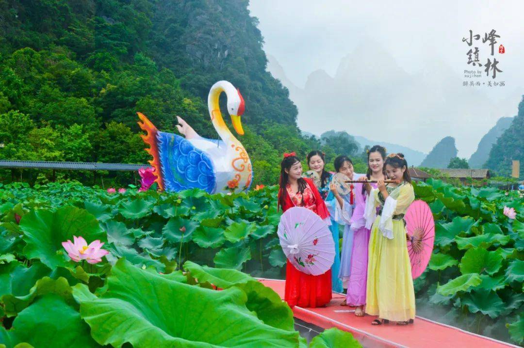 【九龙小镇荷花节5月29日出发-纯玩99元/人】一价全包一天游,九龙小镇