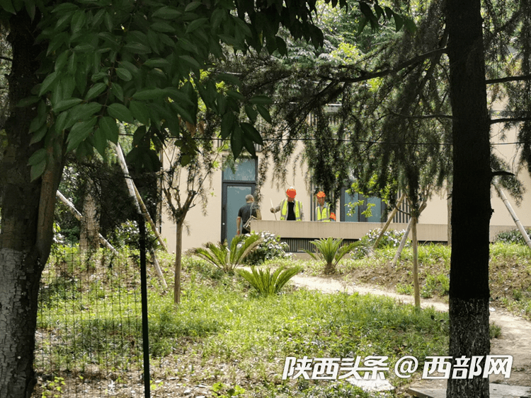 停水2月余不施工安康市民到新罗公园如厕难