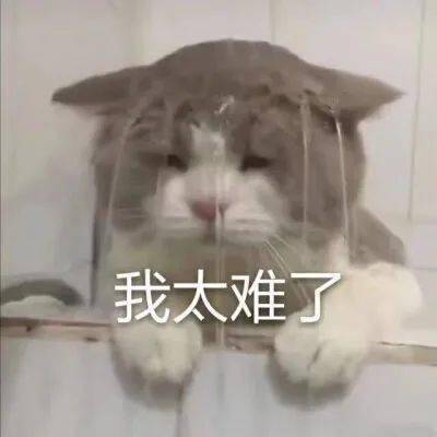 4eaffcc7bafb4585986349180d671cca.jpeg