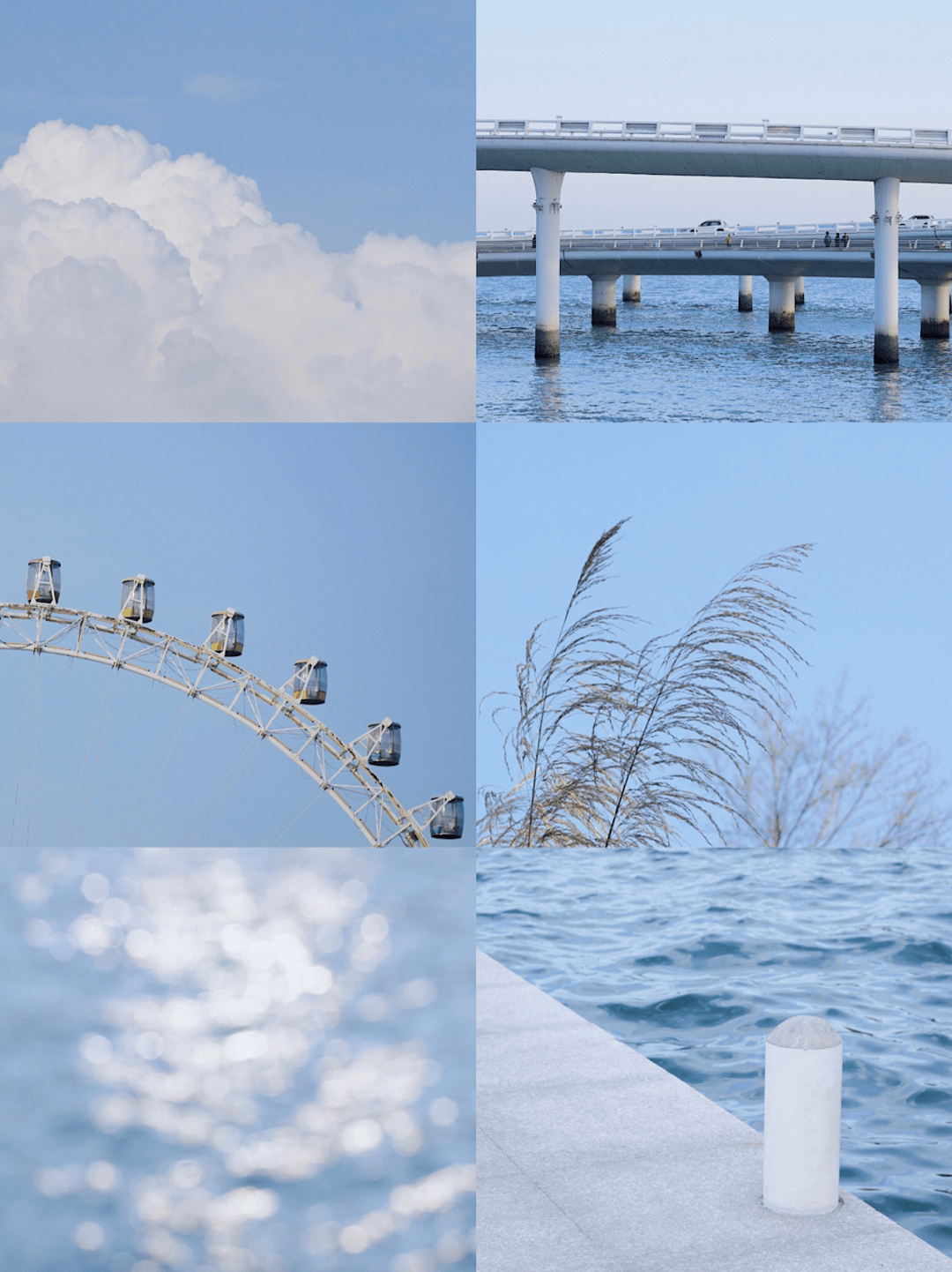 8款vsco神仙滤镜每一款都很绝