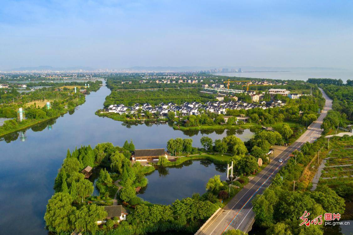 地区城市共建环湖大堤,生态修复太湖沿线湖滨带等举措推进太湖流域