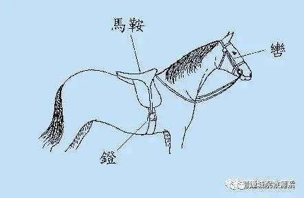 辔头,即辔,指驾驭牲口用的嚼子和缰绳.pèi