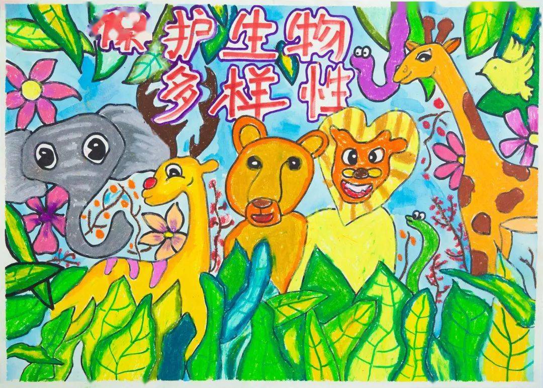 大賽作品第六期雲南省中小學生第五屆野生動物繪畫大賽雲南師範大學