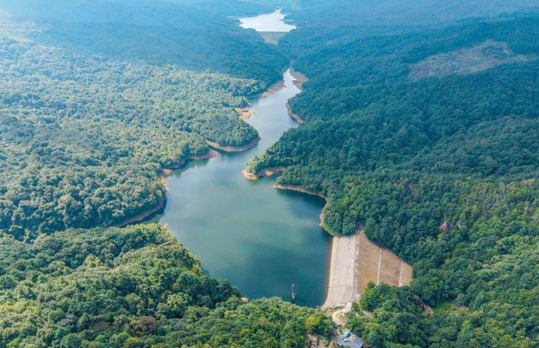 嘿我是元江很高兴在这里遇见你