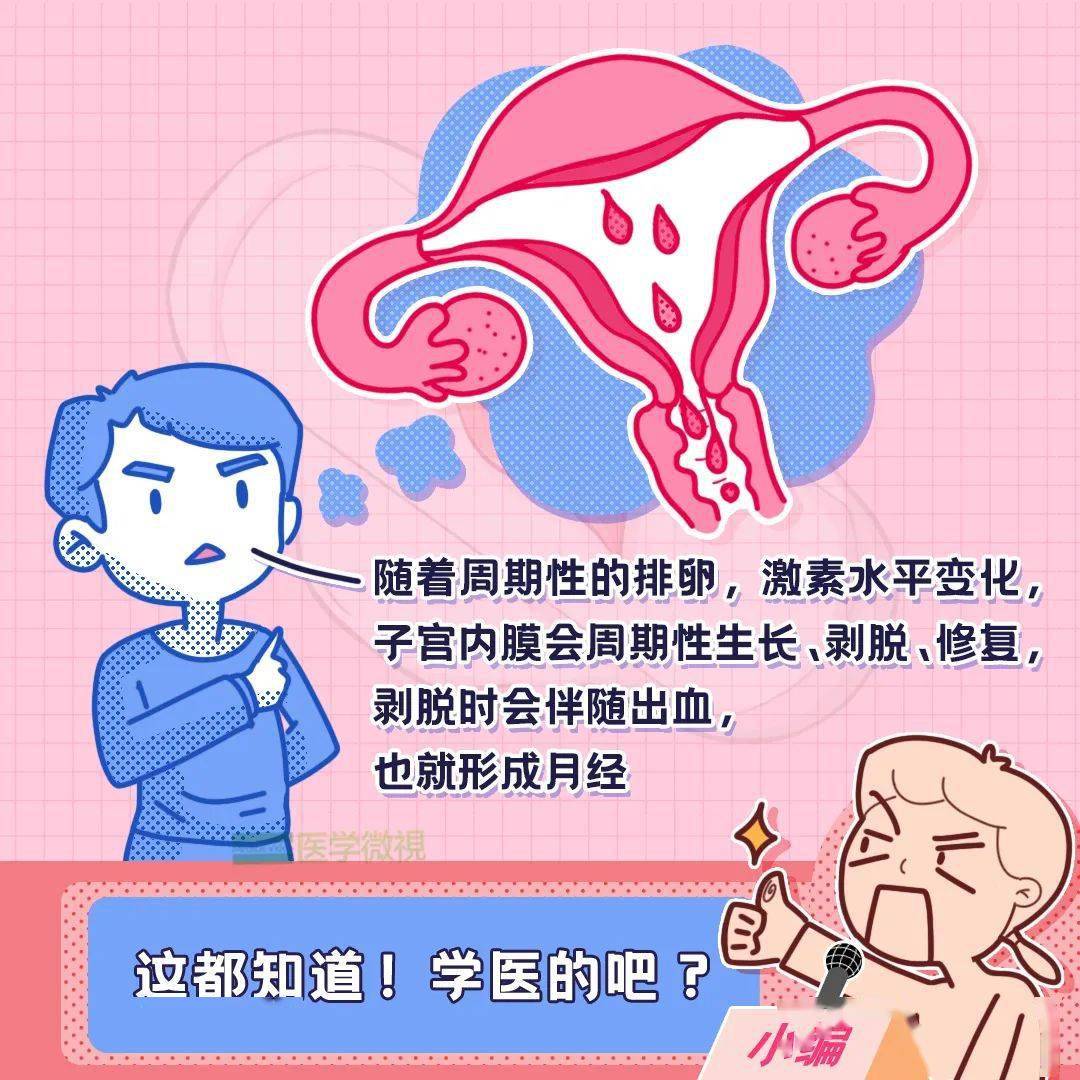了解这些,总好过每个月的那句“多喝热水”!