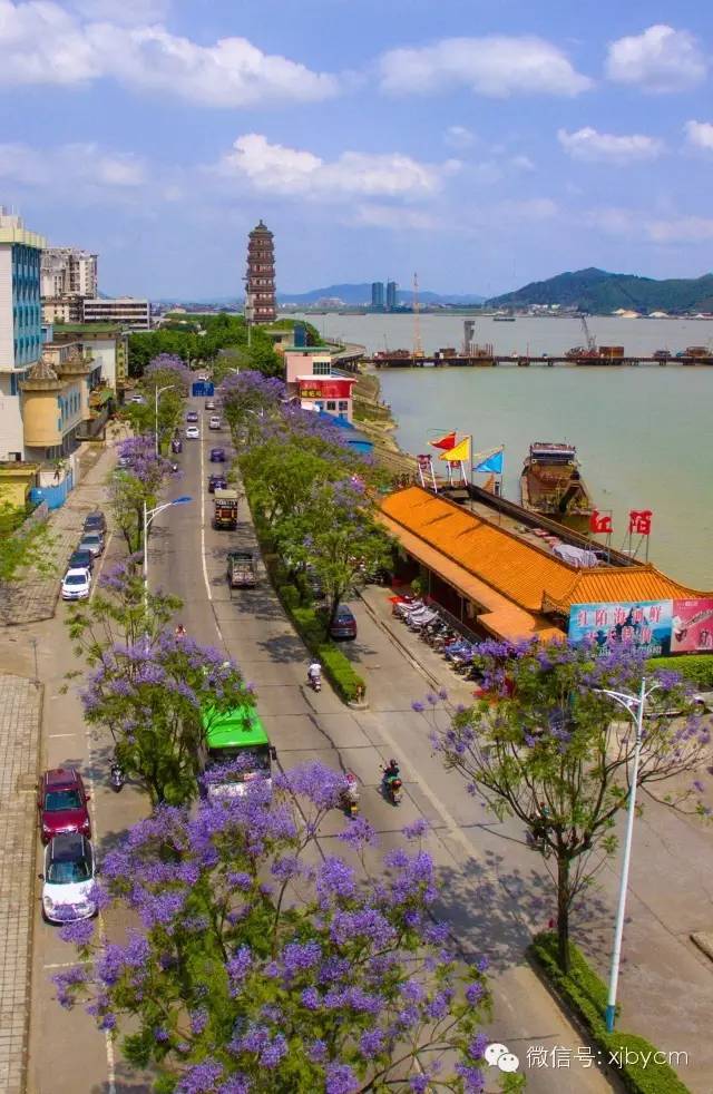 肇庆江滨路有多长?一直走到尽头将通往哪里?震撼航拍带你了解