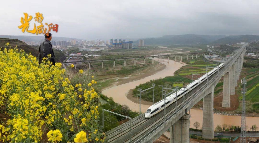 林下 贾永军 摄《花开时节游咸阳 师育民摄《秋染郑国渠》赵福寅