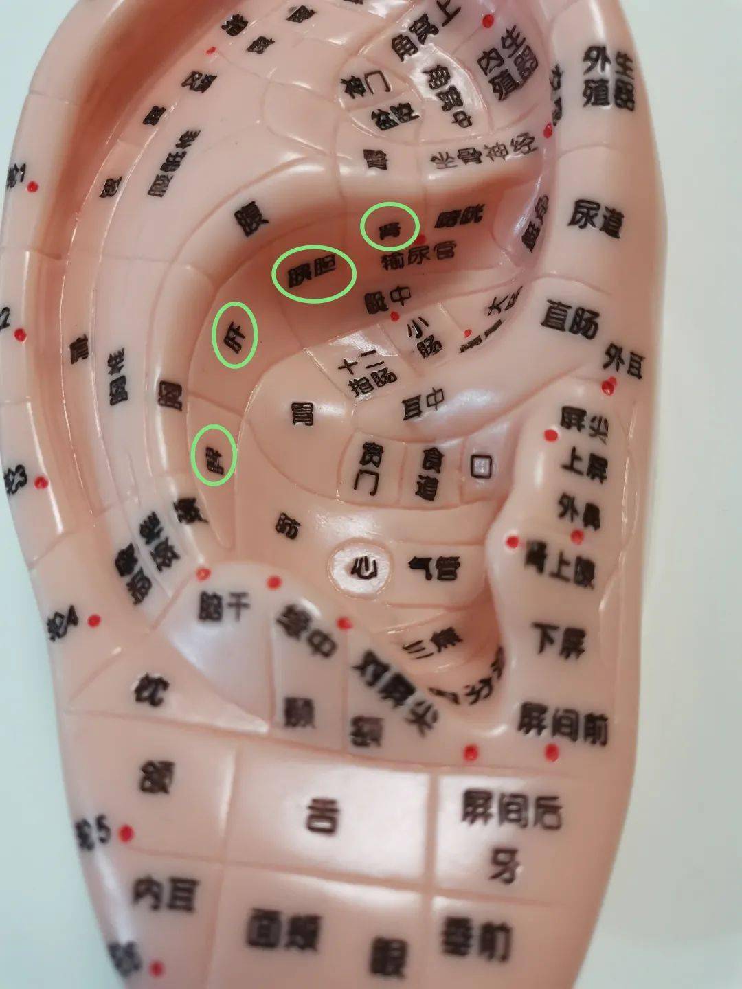 糖尿病一个和所有人都有关的健康问题