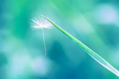 1bef9e35e5d74ad0843b9d35c5b5236b.png