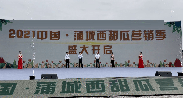 “瓜”分快乐 蒲城2021年西甜瓜营销季开幕_搜狐网
