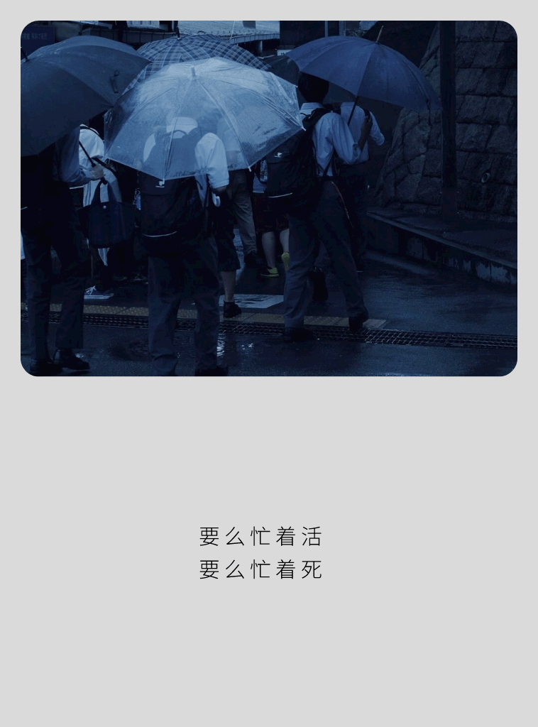 壁纸人生总会低谷你的价值