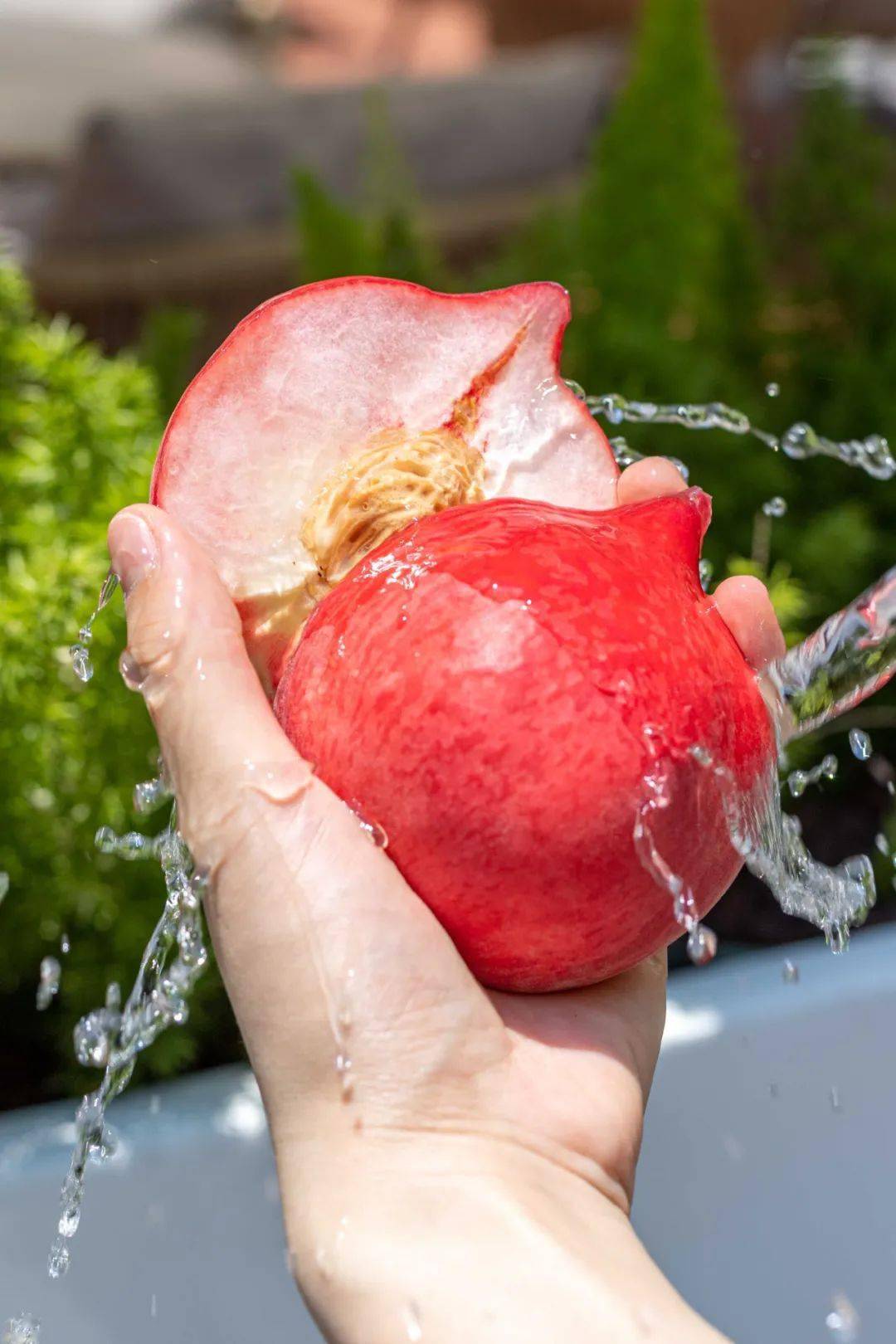 奈雪豪华版霸气水蜜桃来了!只卖2天!_口感