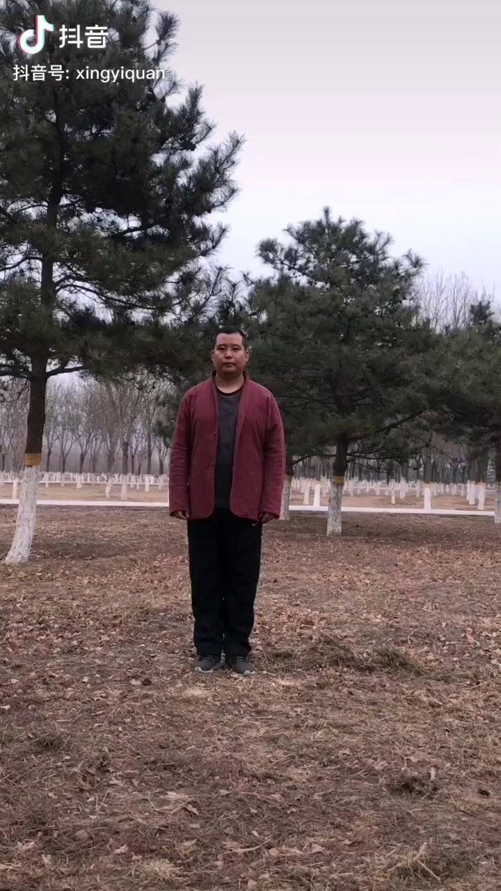 一代宗师中宫宝田问马三你知道老猿挂印的关隘在哪里么形意拳