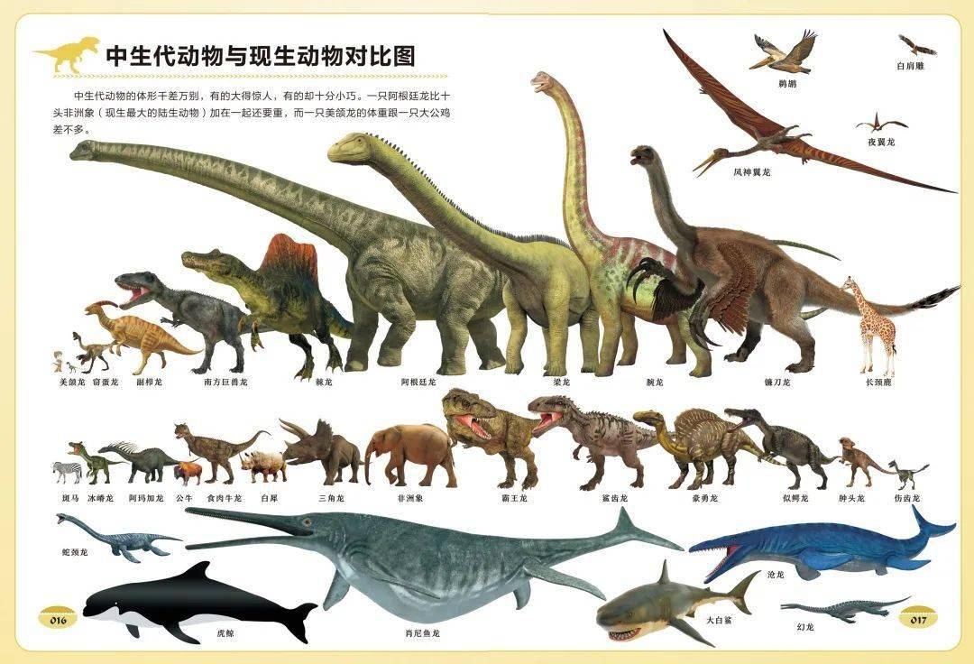 五种恐龙资料图片