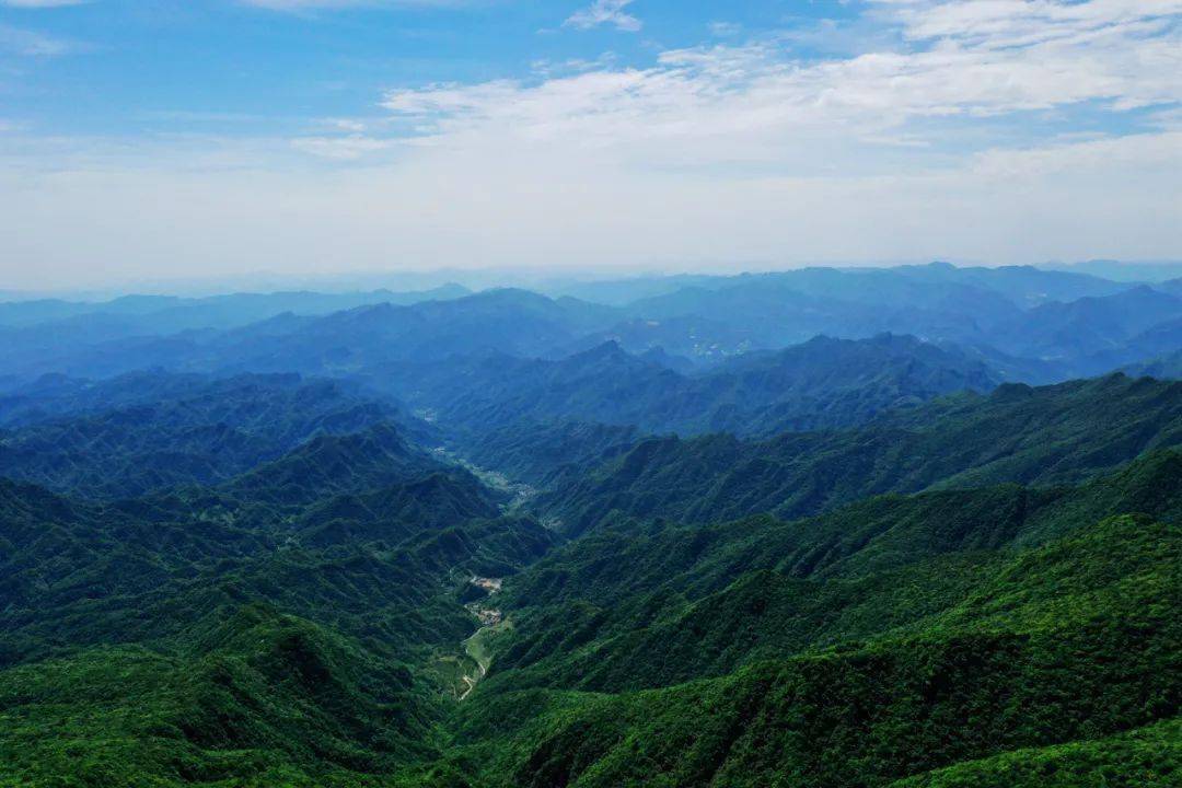 登营盘山顶赏海棠花开网友活动作品展播一
