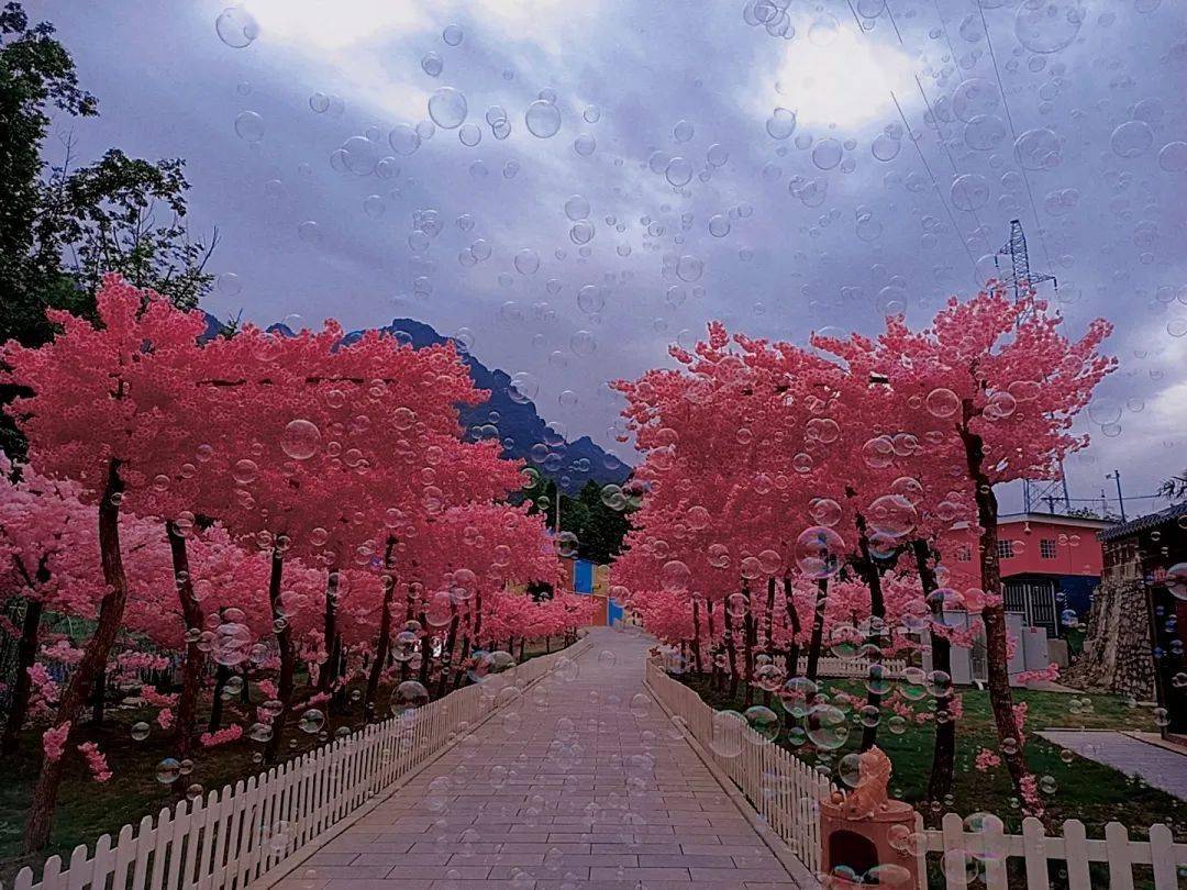 宜昌省宜昌市长阳土家族自治县土地坡村心语岛·梦幻秘境72活动日期