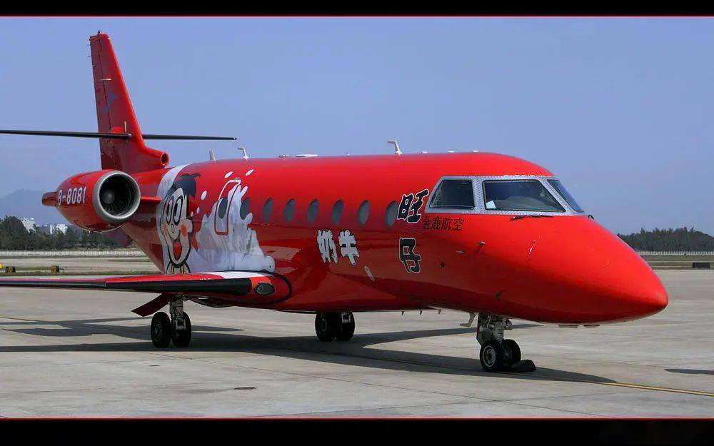 旺仔公务机见过吗?_的飞机