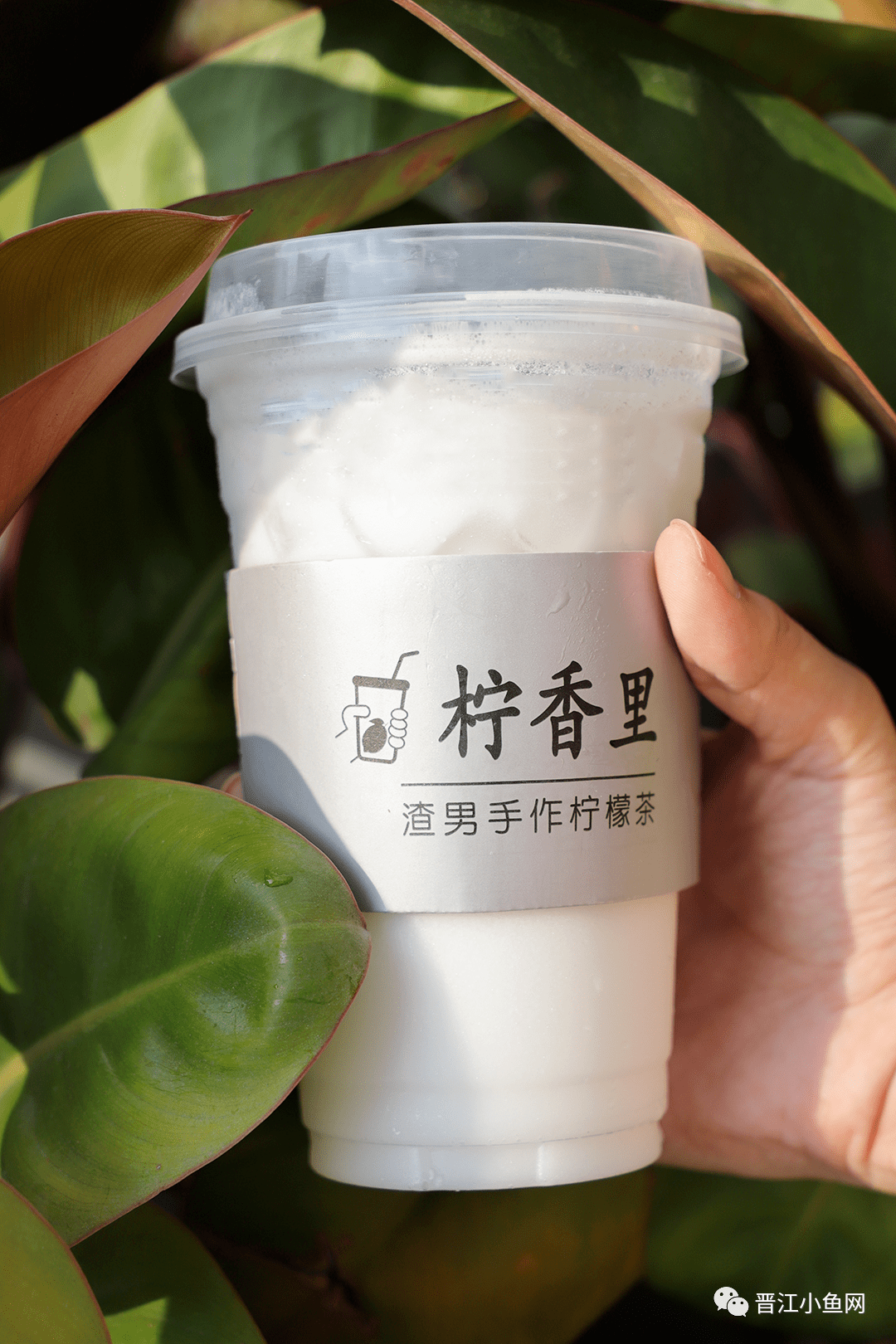 加入了椰浆的柠檬茶,带有椰浆的浓郁醇香以及茶汤的清爽回甘,细品之下