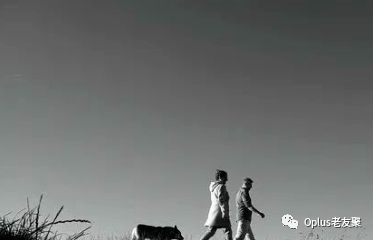 梦境与现实交织，梦见去世的妈妈还活着在外不知回家的深层解读