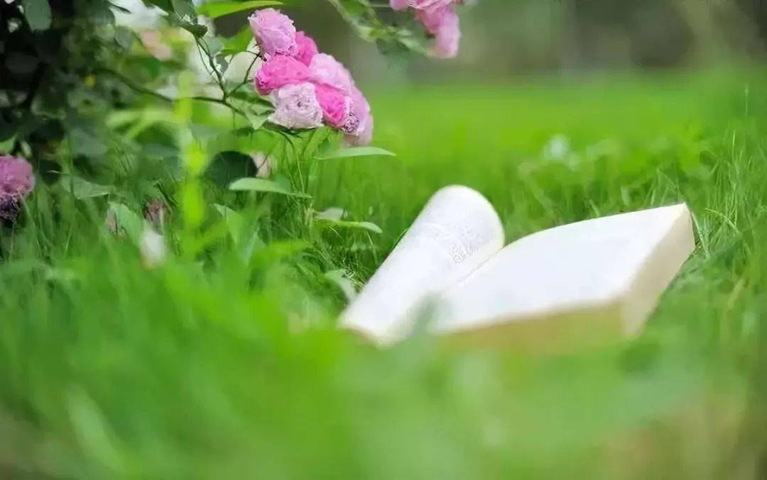 中小学语文常考的一百个文学意象 答题与作文必备 诗歌