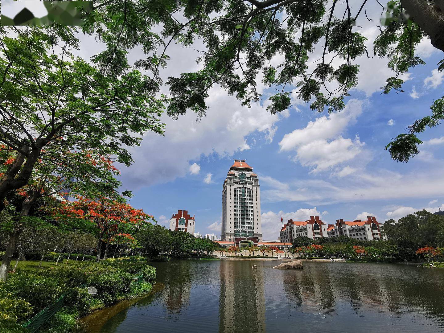 在厦门大学管理学院教授,厦门大学中国营商环境研究中心执行主任