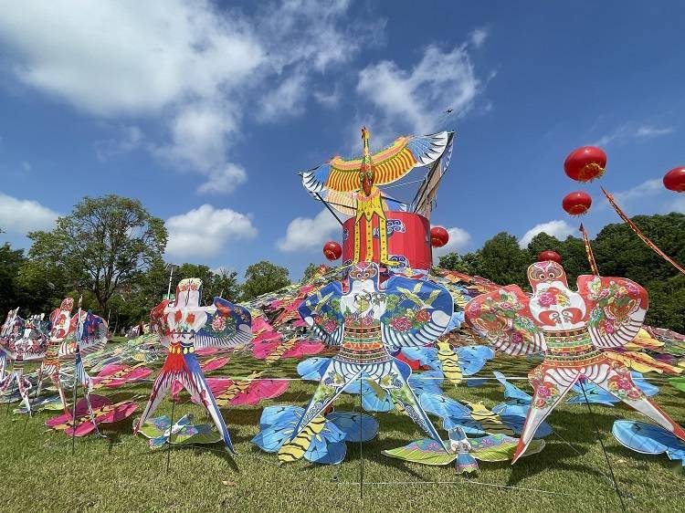 清風初夏,帶孩子來崇明參加