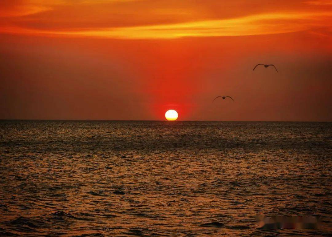 多图,乐东摄影师们镜头下的乐东日落,美极了!_莺歌海镇
