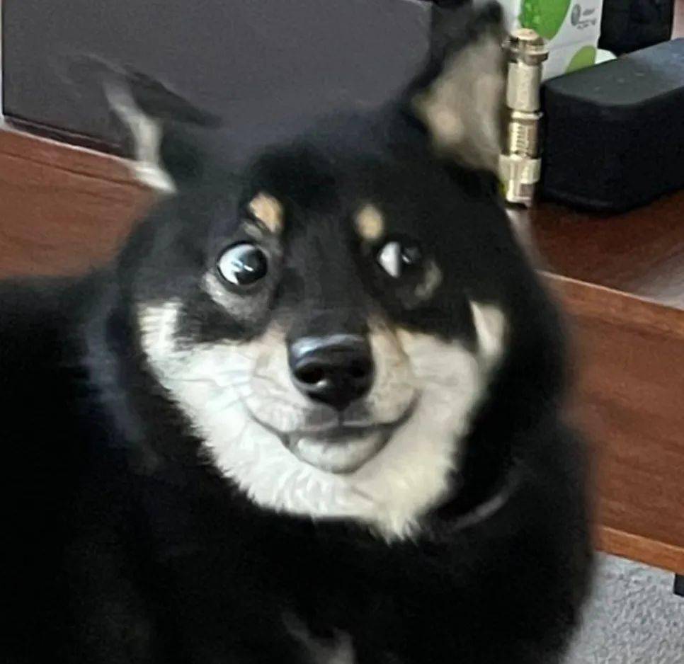 "表情一定要狠,眼神也要到位,用强大的气场来逼退对方,完美!