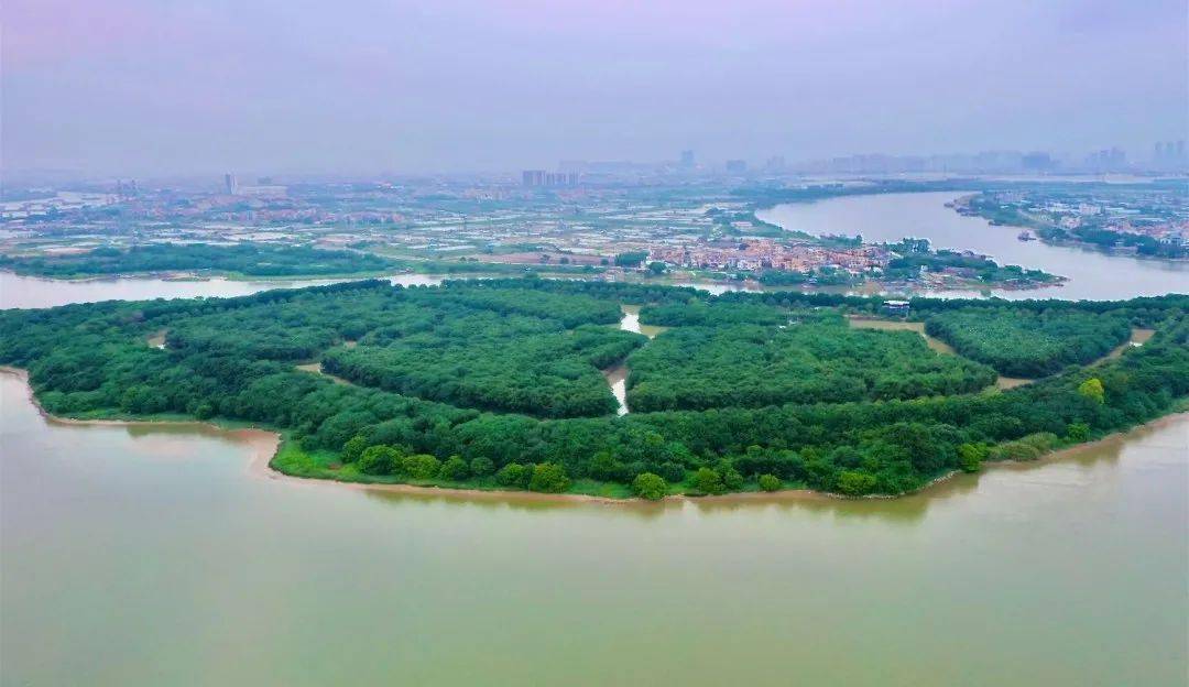 快来顺德"世外桃源"上解压!