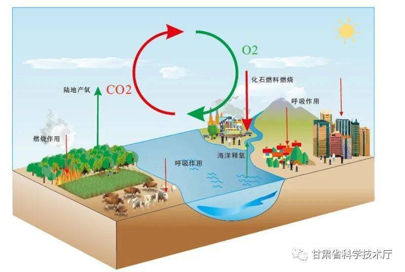 科普是谁让地球氧循环失了衡