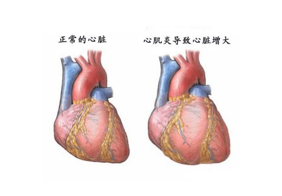 7c674ada78784bdcbb7e3b7a99eaaa7c.png