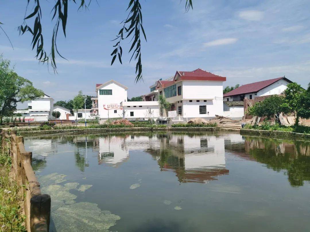 万安县百嘉镇车溪村宜居宜游聚集可持续