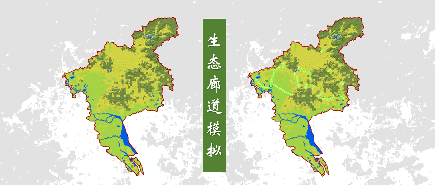 干货生态廊道gis模拟