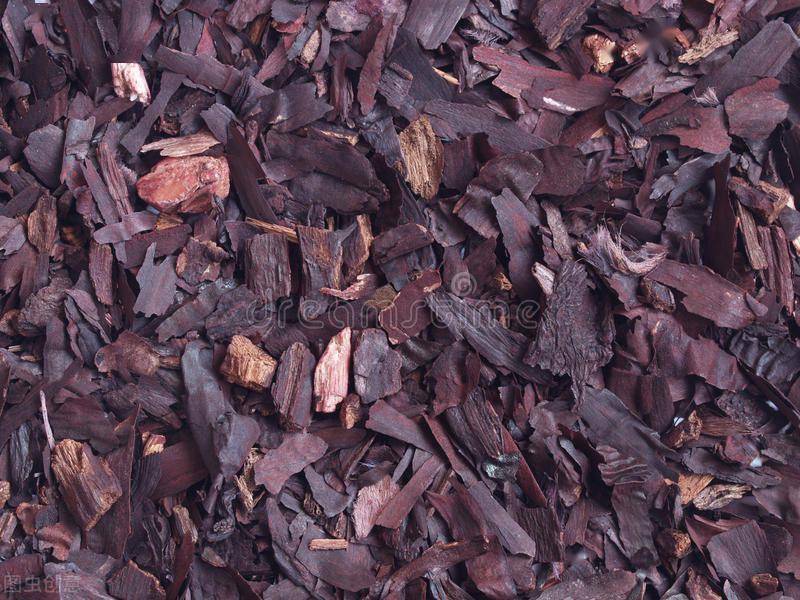 带你认识紫草素