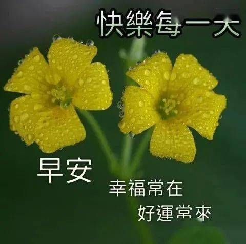 6月3日最漂亮早上好動態表情圖片大全早上好動圖美圖大全