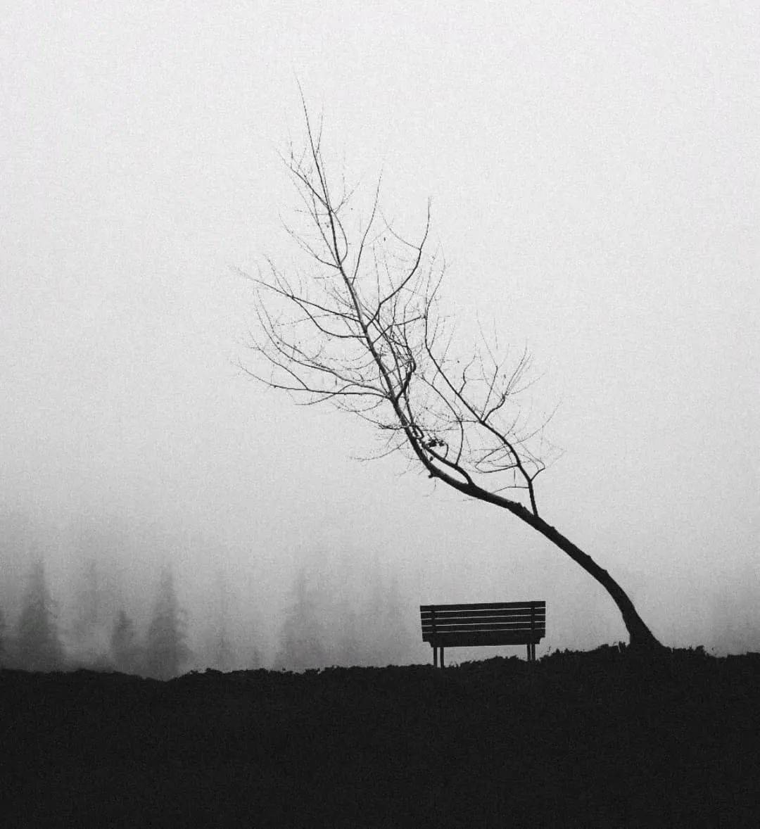 摄影孤独是生活常态平躺只是临时的逃避