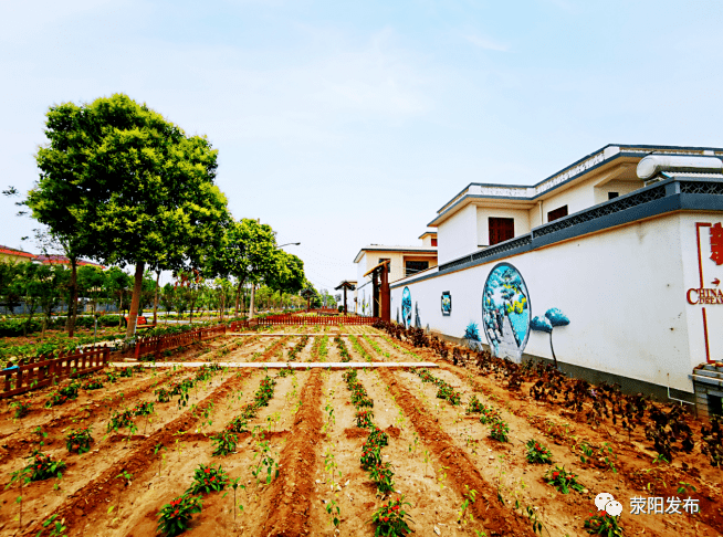 汜水镇南屯村翠绿葱茏田园景美丽乡村入画来