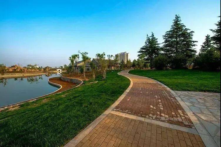 畅享"森"呼吸,快来这儿……_孟津