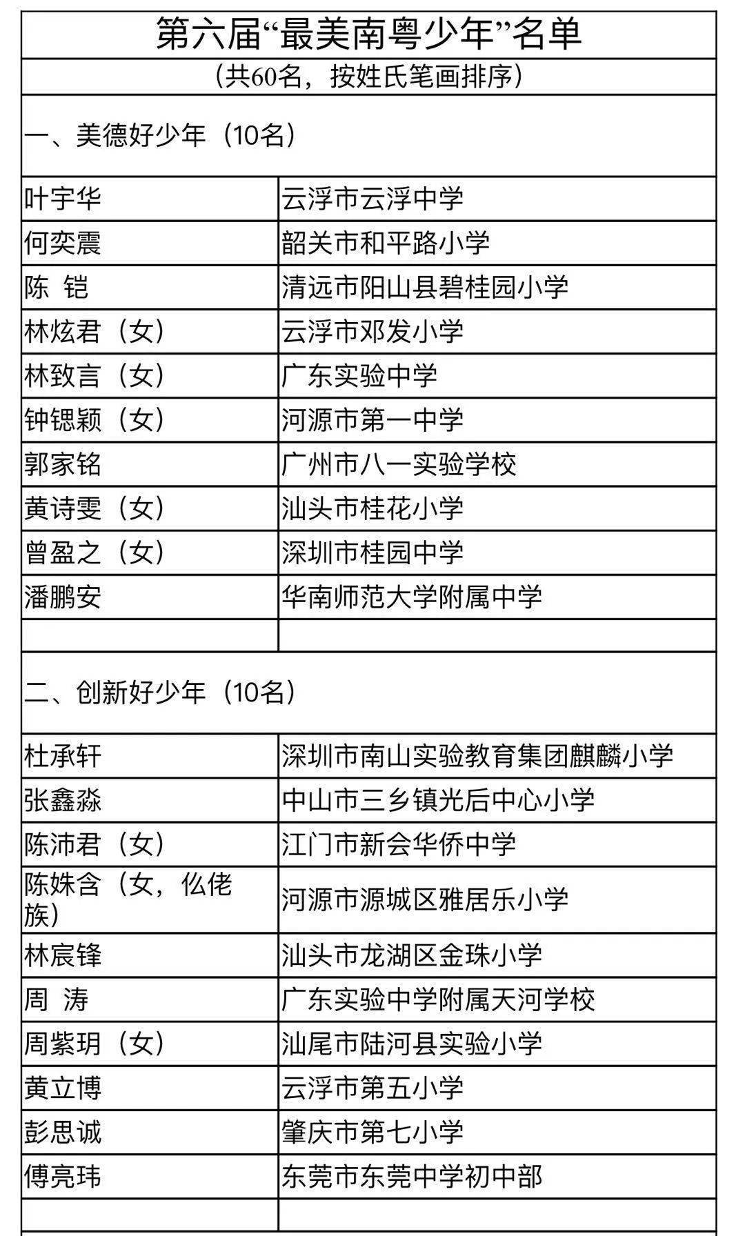 最美南粤少年申报表图片