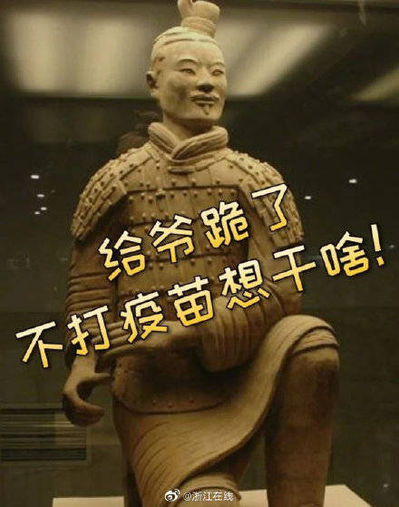 兵马俑健康码”上线！全国网友求更新_陕西