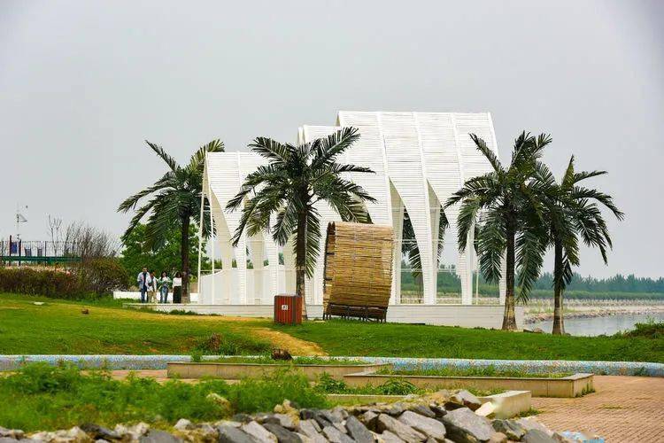 面朝八百里巢湖一一飞瞰合肥小三亚