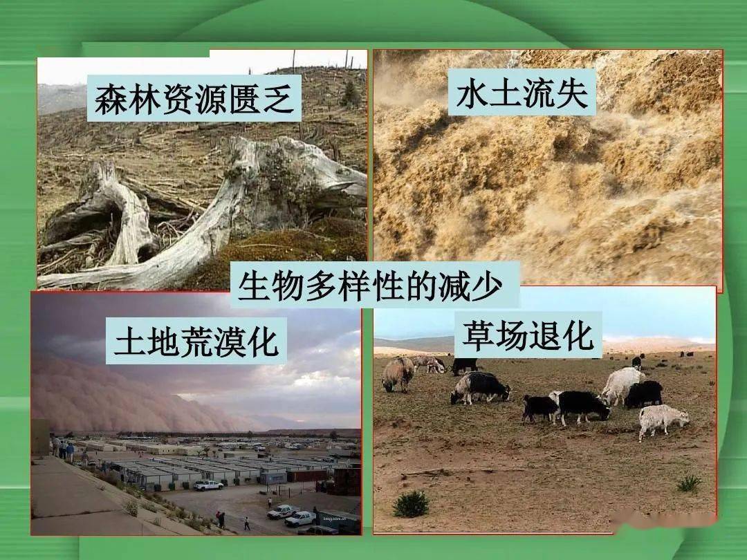 65世界环境日让我们携手保护环境吧