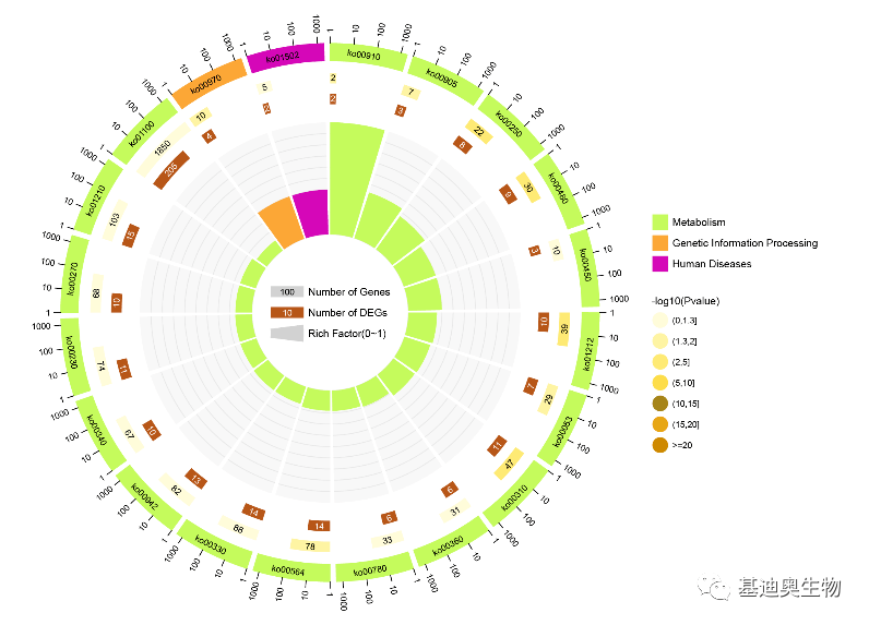 基因,代谢物如何做kegg富集分析?