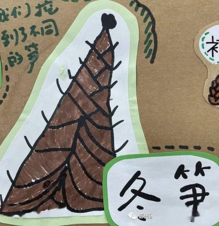 笋芽尖尖——鄞州区云天实验幼儿园(格兰园)中一班项目课程_笋壳